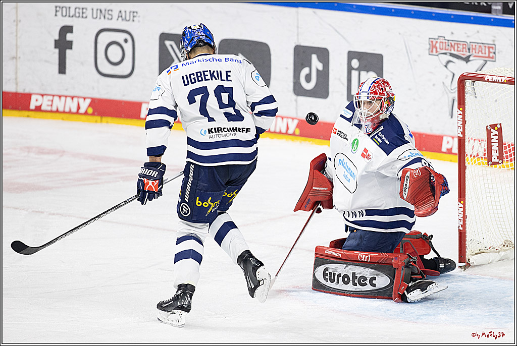 PENNY DEL 1; Kölner Haie - Iserlohn Roosters; Köln, 13.02.2024