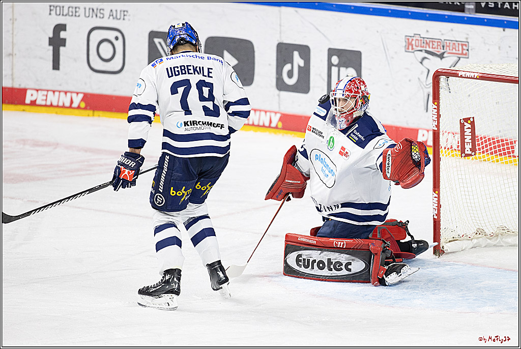 PENNY DEL 1; Kölner Haie - Iserlohn Roosters; Köln, 13.02.2024