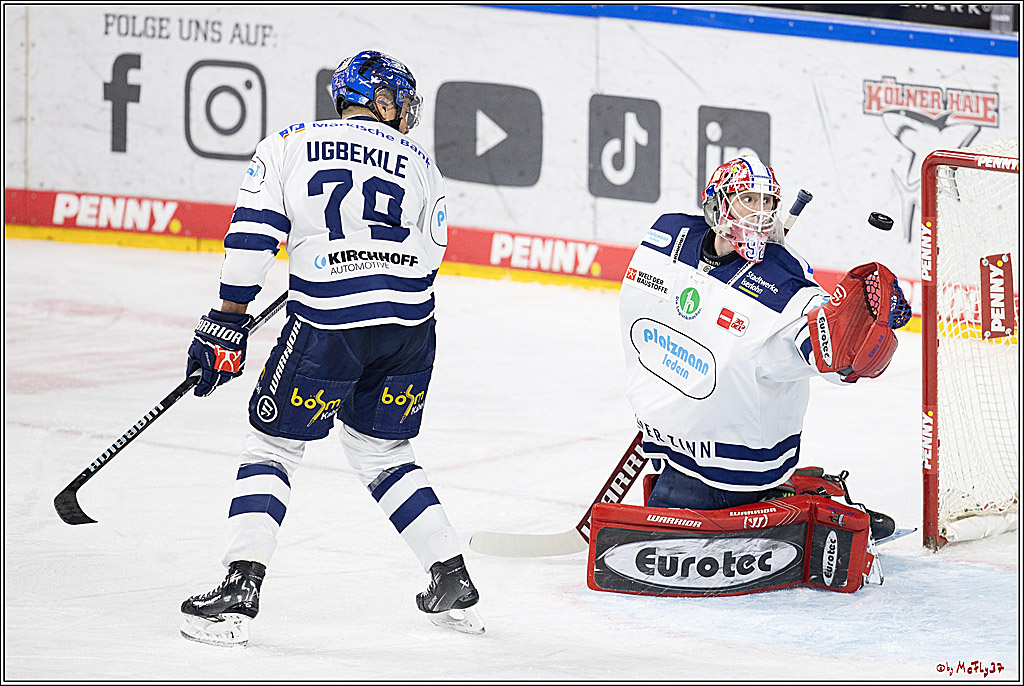 PENNY DEL 1; Kölner Haie - Iserlohn Roosters; Köln, 13.02.2024