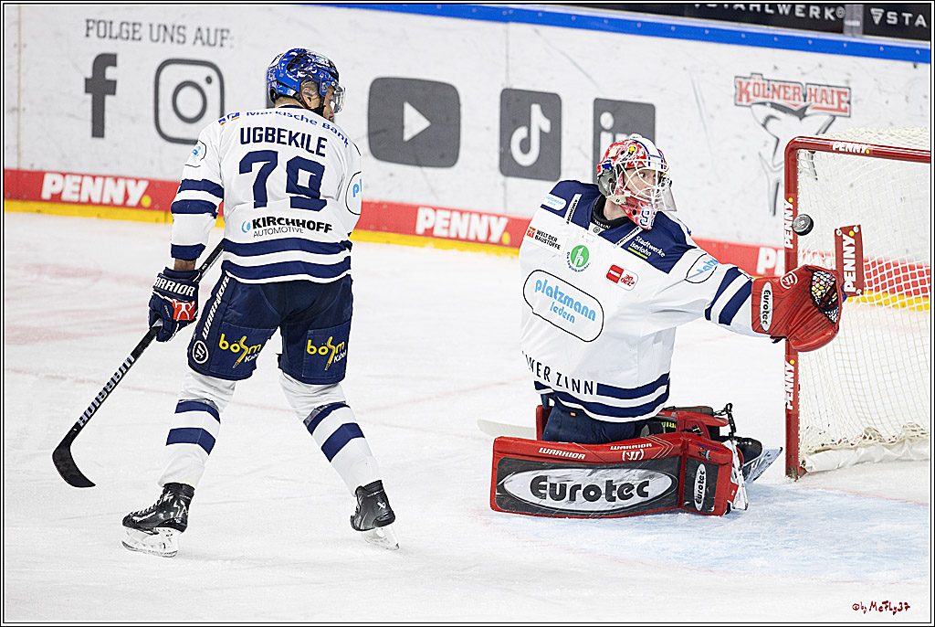 PENNY DEL 1; Kölner Haie - Iserlohn Roosters; Köln, 13.02.2024