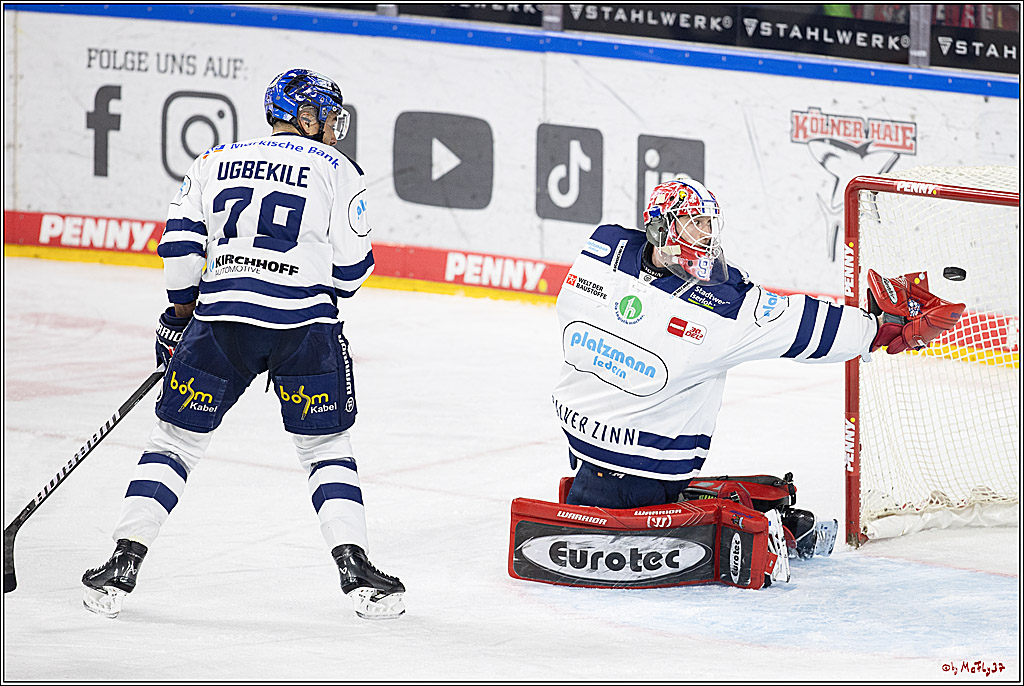 PENNY DEL 1; Kölner Haie - Iserlohn Roosters; Köln, 13.02.2024
