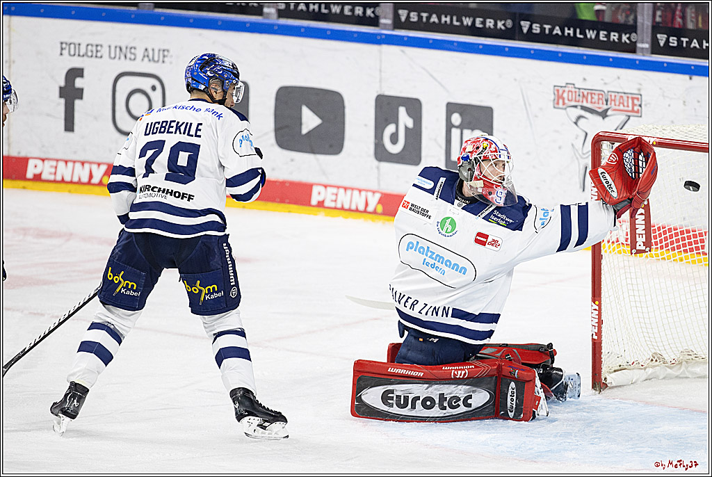 PENNY DEL 1; Kölner Haie - Iserlohn Roosters; Köln, 13.02.2024