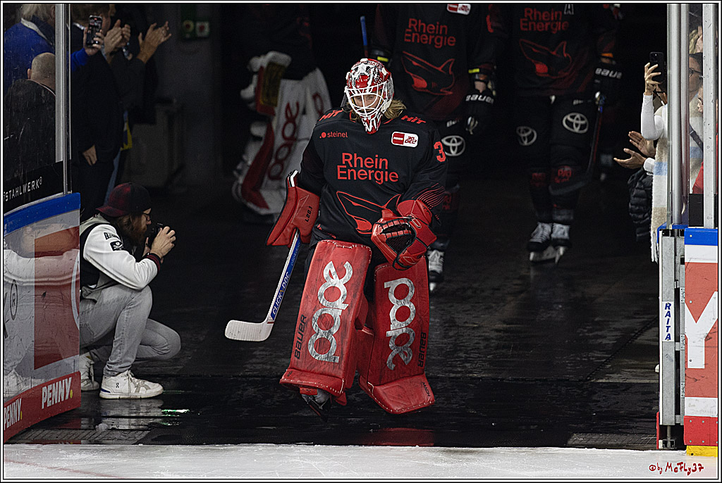 PENNY DEL 1; Kölner Haie - Iserlohn Roosters; Köln, 13.02.2024
