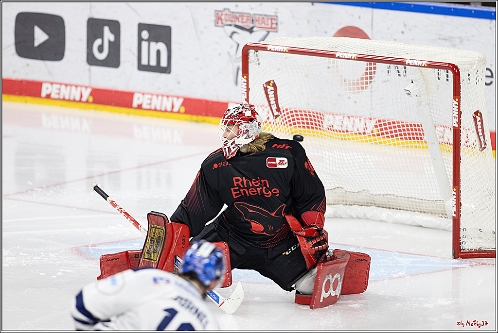 PENNY DEL 1; Kölner Haie - Iserlohn Roosters; Köln, 13.02.2024