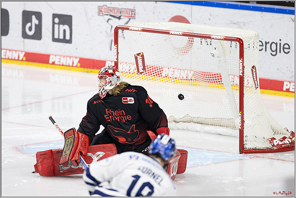 PENNY DEL 1; Kölner Haie - Iserlohn Roosters; Köln, 13.02.2024