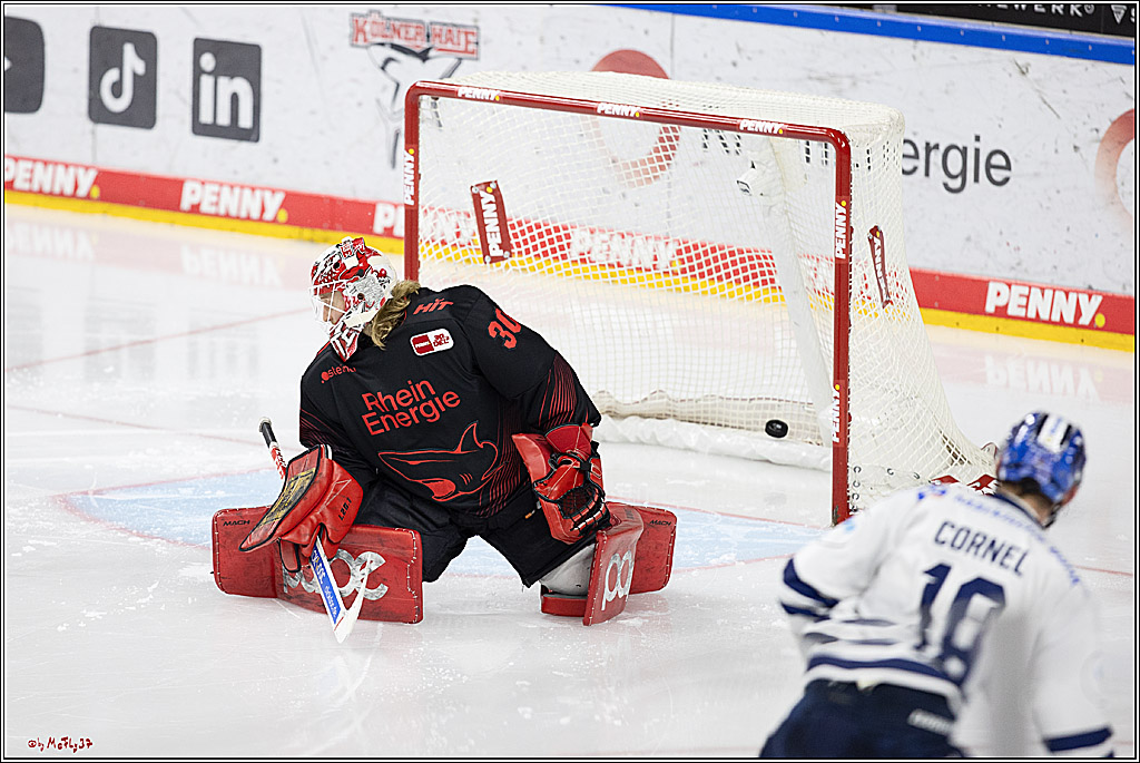 PENNY DEL 1; Kölner Haie - Iserlohn Roosters; Köln, 13.02.2024