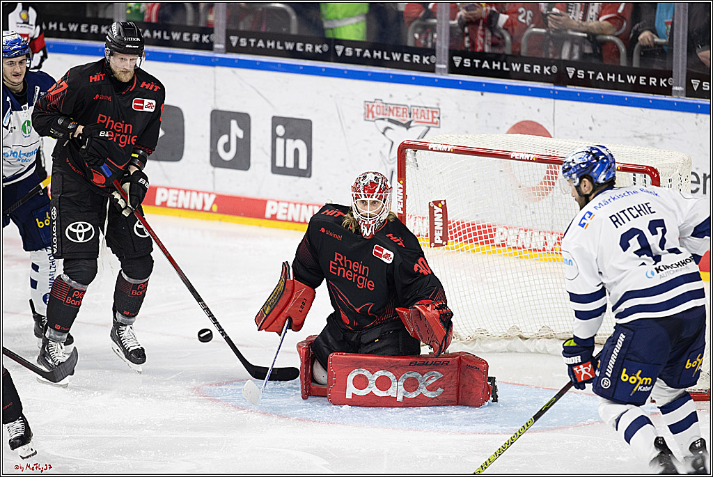 PENNY DEL 1; Kölner Haie - Iserlohn Roosters; Köln, 13.02.2024