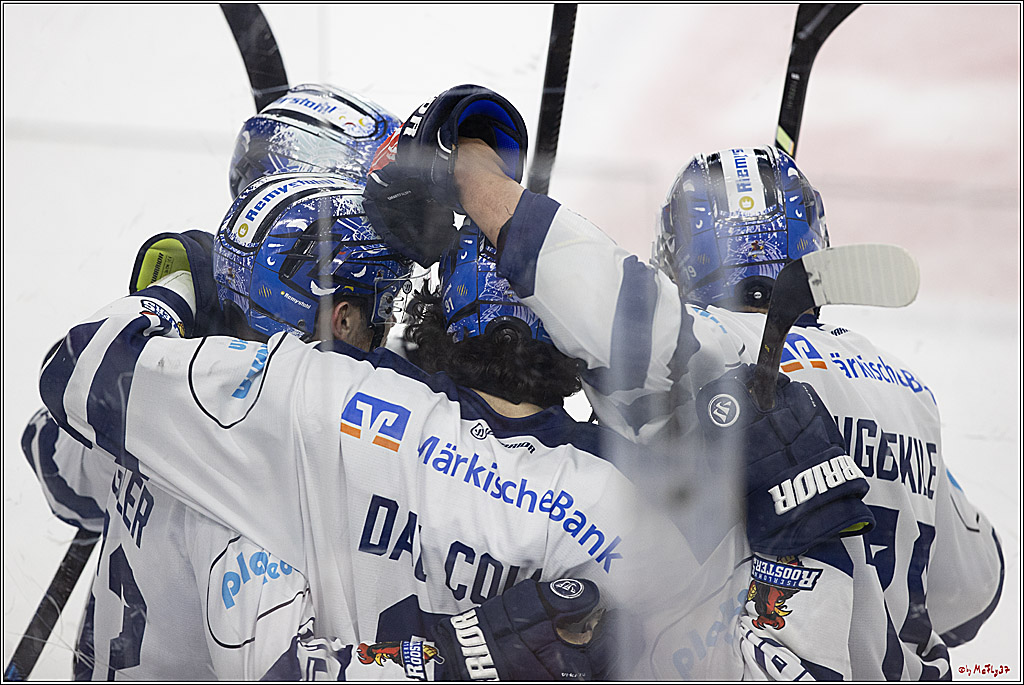 PENNY DEL 1; Kölner Haie - Iserlohn Roosters; Köln, 13.02.2024