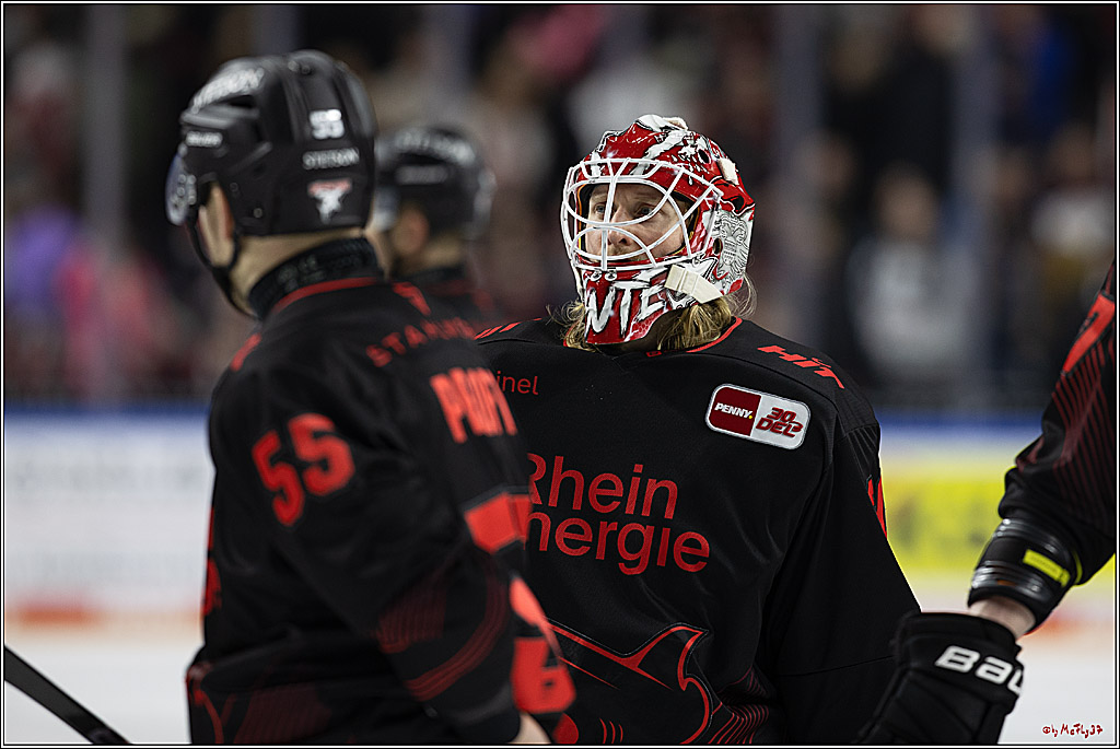 PENNY DEL 1; Kölner Haie - Iserlohn Roosters; Köln, 13.02.2024