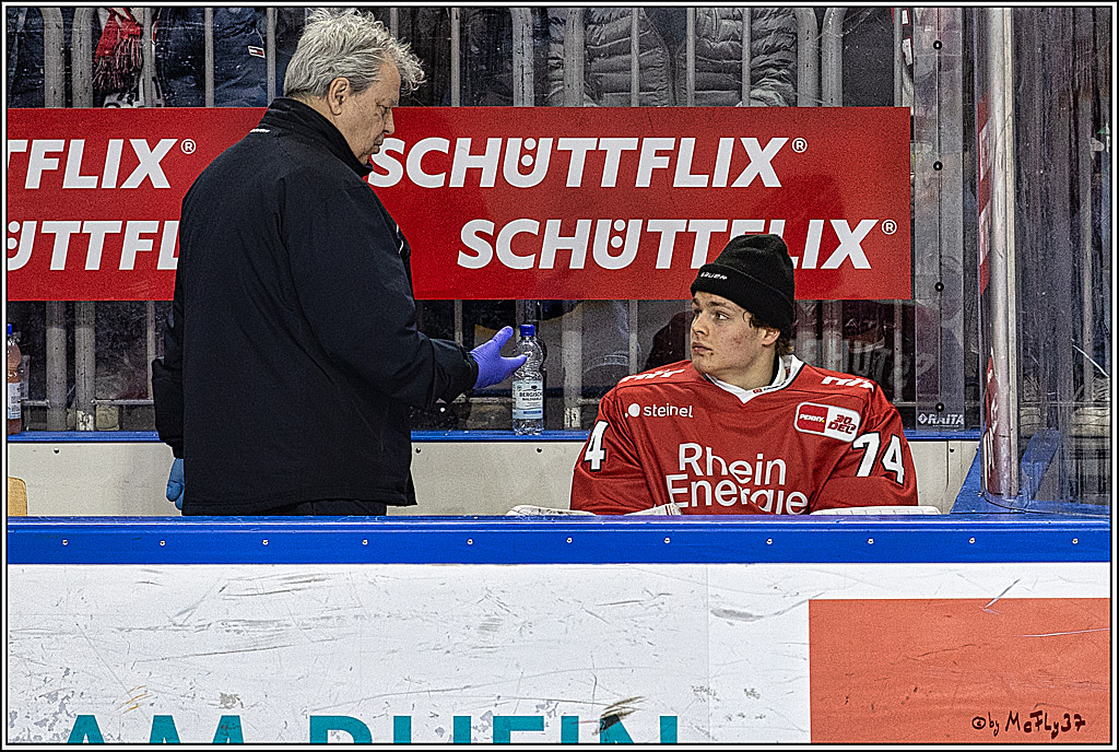 PENNY DEL: Kölner Haie - Eisbären Berlin; Köln, 21.02.2024