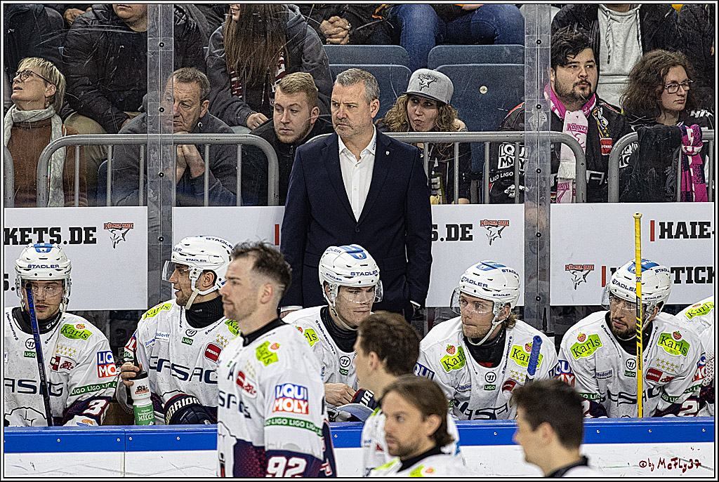 PENNY DEL: Kölner Haie - Eisbären Berlin; Köln, 21.02.2024