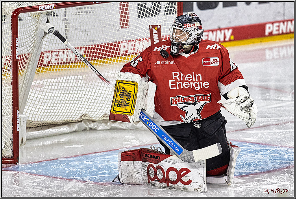 PENNY DEL: Kölner Haie - Eisbären Berlin; Köln, 21.02.2024