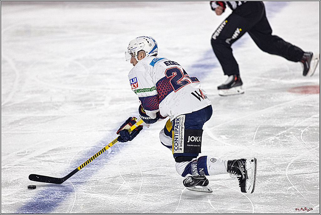 PENNY DEL: Kölner Haie - Eisbären Berlin; Köln, 21.02.2024