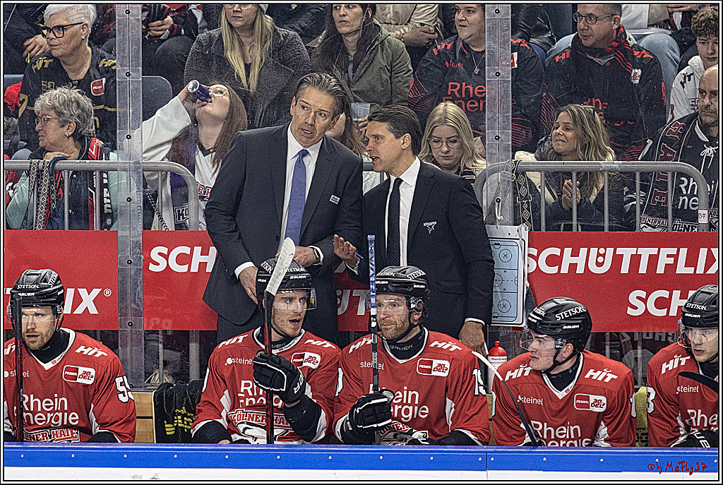 PENNY DEL: Kölner Haie - Eisbären Berlin; Köln, 21.02.2024