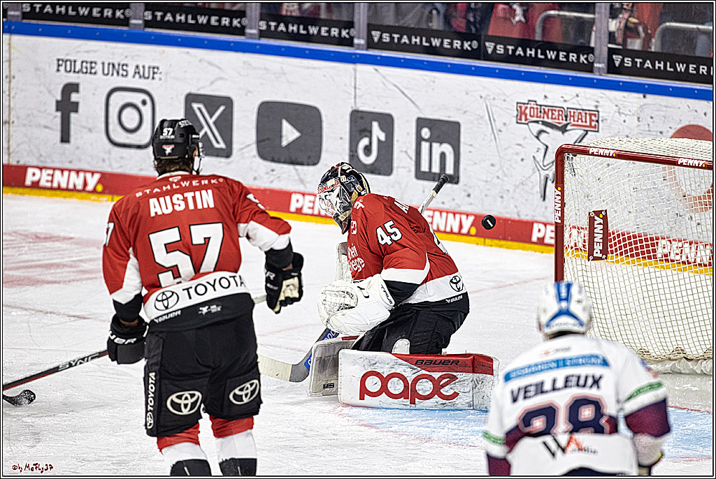 PENNY DEL: Kölner Haie - Eisbären Berlin; Köln, 21.02.2024