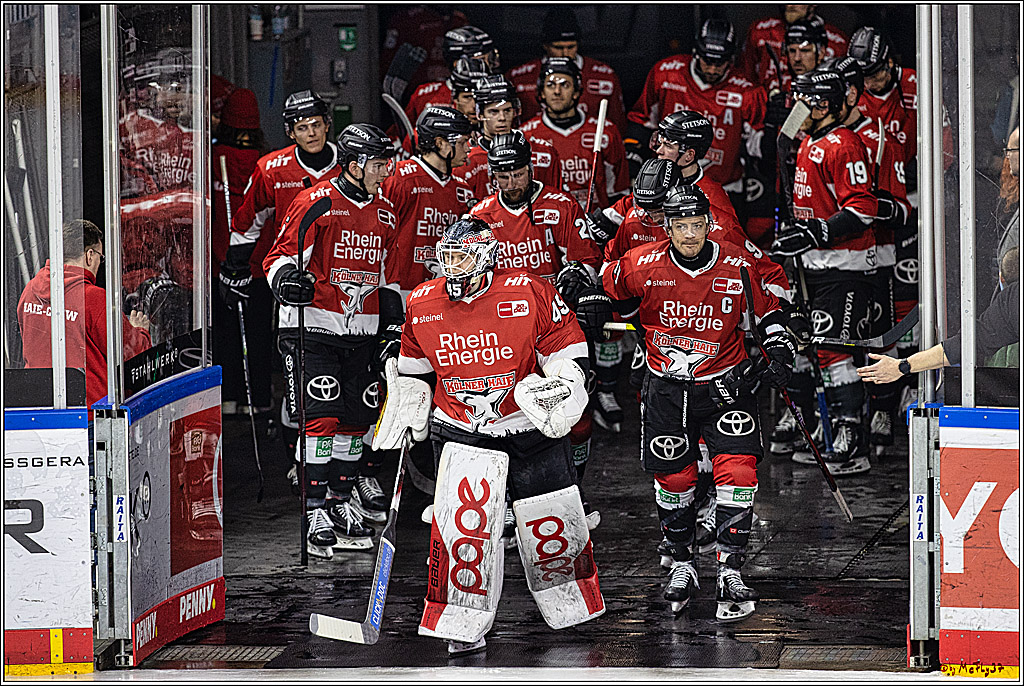 PENNY DEL: Kölner Haie - Eisbären Berlin; Köln, 21.02.2024