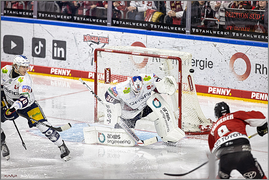PENNY DEL: Kölner Haie - Eisbären Berlin; Köln, 21.02.2024