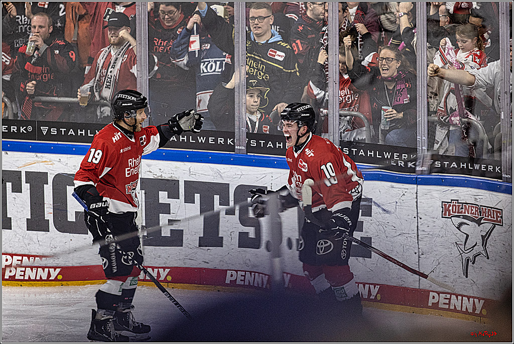 PENNY DEL: Kölner Haie - Eisbären Berlin; Köln, 21.02.2024