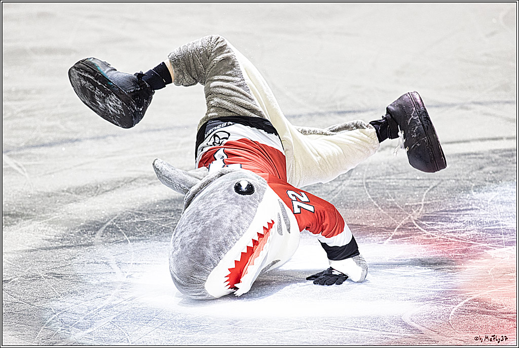 PENNY DEL: Kölner Haie - Eisbären Berlin; Köln, 21.02.2024