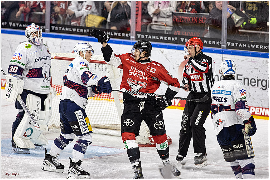 PENNY DEL: Kölner Haie - Eisbären Berlin; Köln, 21.02.2024