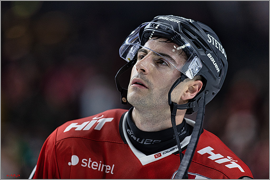 PENNY DEL: Kölner Haie - Eisbären Berlin; Köln, 21.02.2024