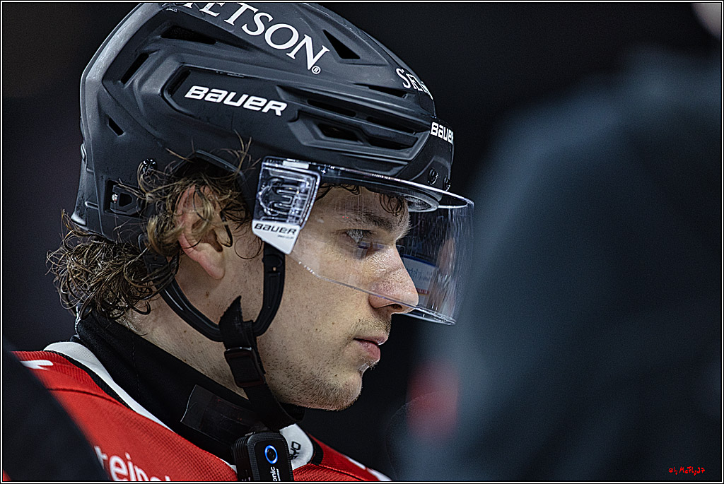 PENNY DEL: Kölner Haie - Eisbären Berlin; Köln, 21.02.2024