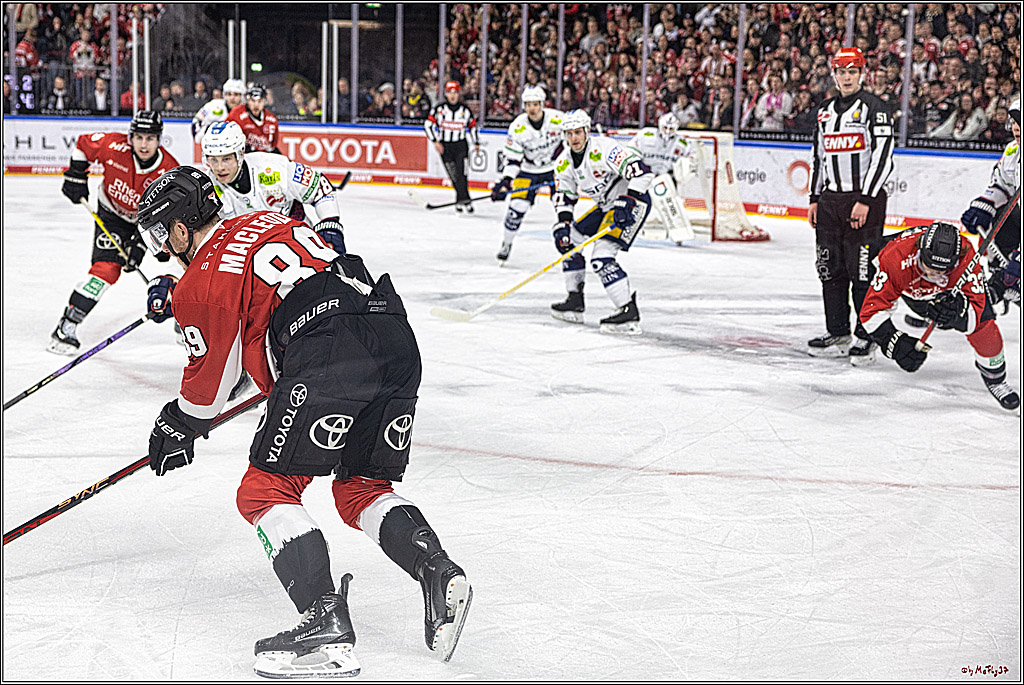 PENNY DEL: Kölner Haie - Eisbären Berlin; Köln, 21.02.2024