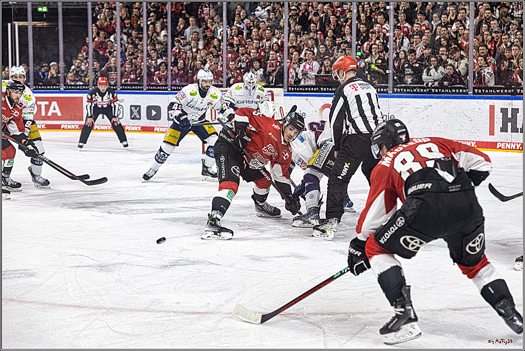 PENNY DEL: Kölner Haie - Eisbären Berlin; Köln, 21.02.2024