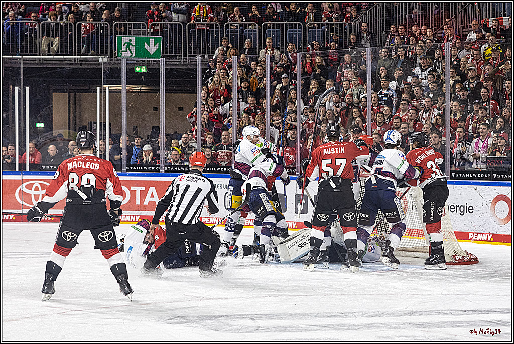 PENNY DEL: Kölner Haie - Eisbären Berlin; Köln, 21.02.2024