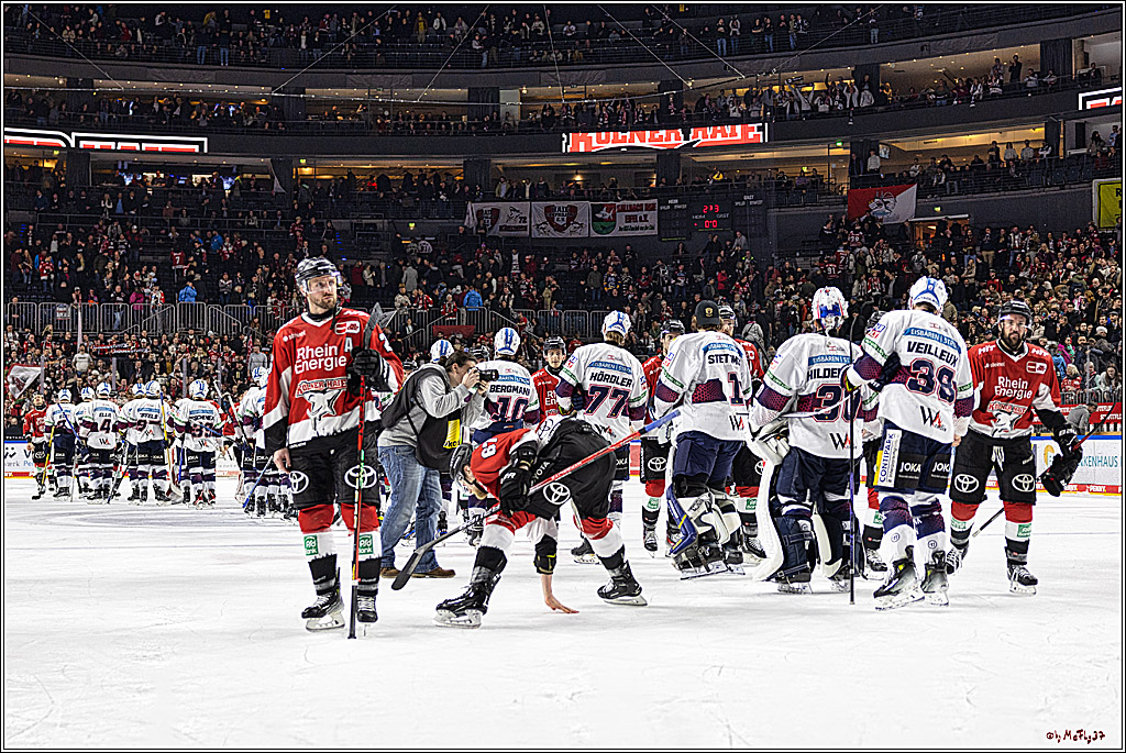 PENNY DEL: Kölner Haie - Eisbären Berlin; Köln, 21.02.2024