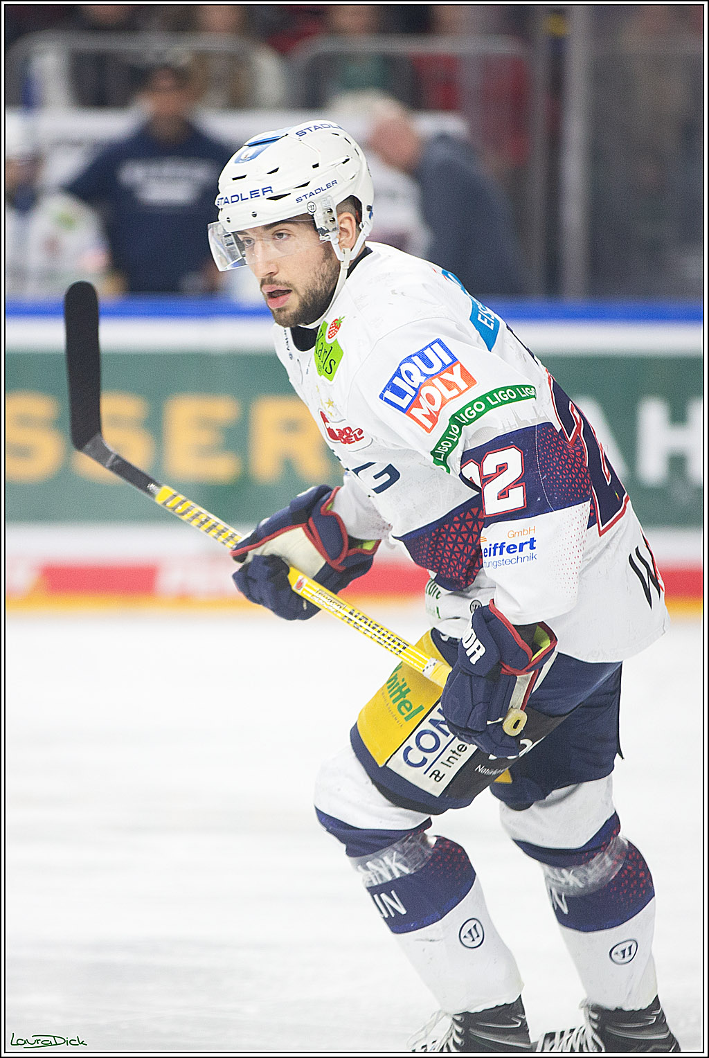 PENNY DEL; Koelner Haie-Eisbaeren Berlin; Koeln, 21.02.2024