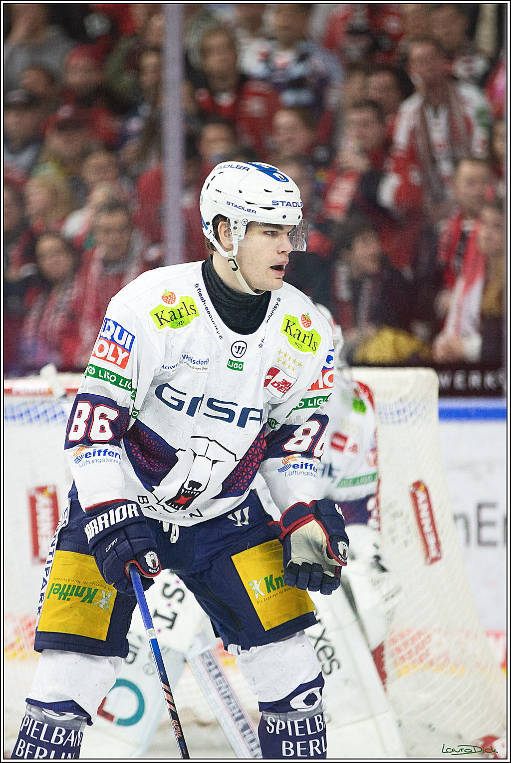 PENNY DEL; Koelner Haie-Eisbaeren Berlin; Koeln, 21.02.2024