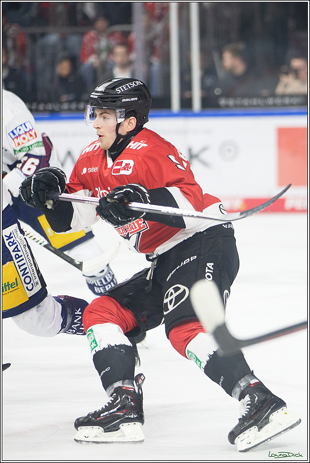 PENNY DEL; Koelner Haie-Eisbaeren Berlin; Koeln, 21.02.2024