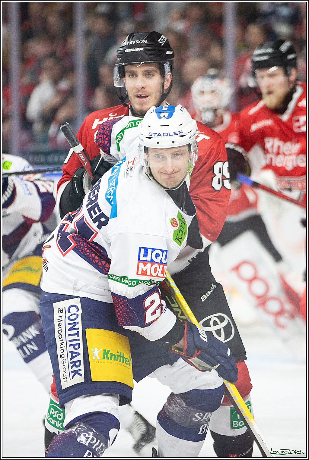 PENNY DEL; Koelner Haie-Eisbaeren Berlin; Koeln, 21.02.2024
