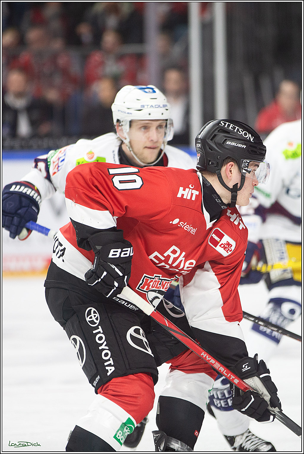 PENNY DEL; Koelner Haie-Eisbaeren Berlin; Koeln, 21.02.2024