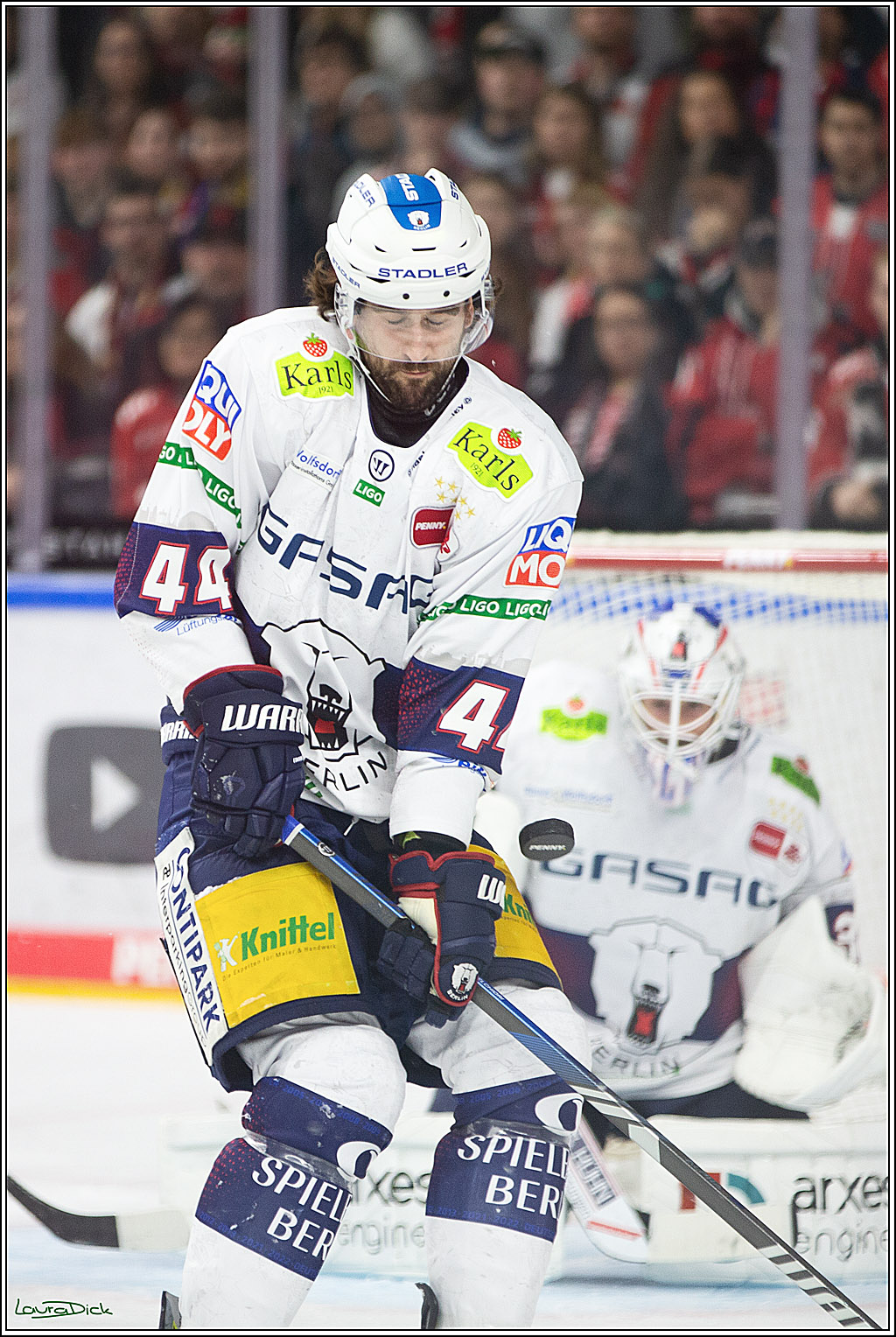 PENNY DEL; Koelner Haie-Eisbaeren Berlin; Koeln, 21.02.2024