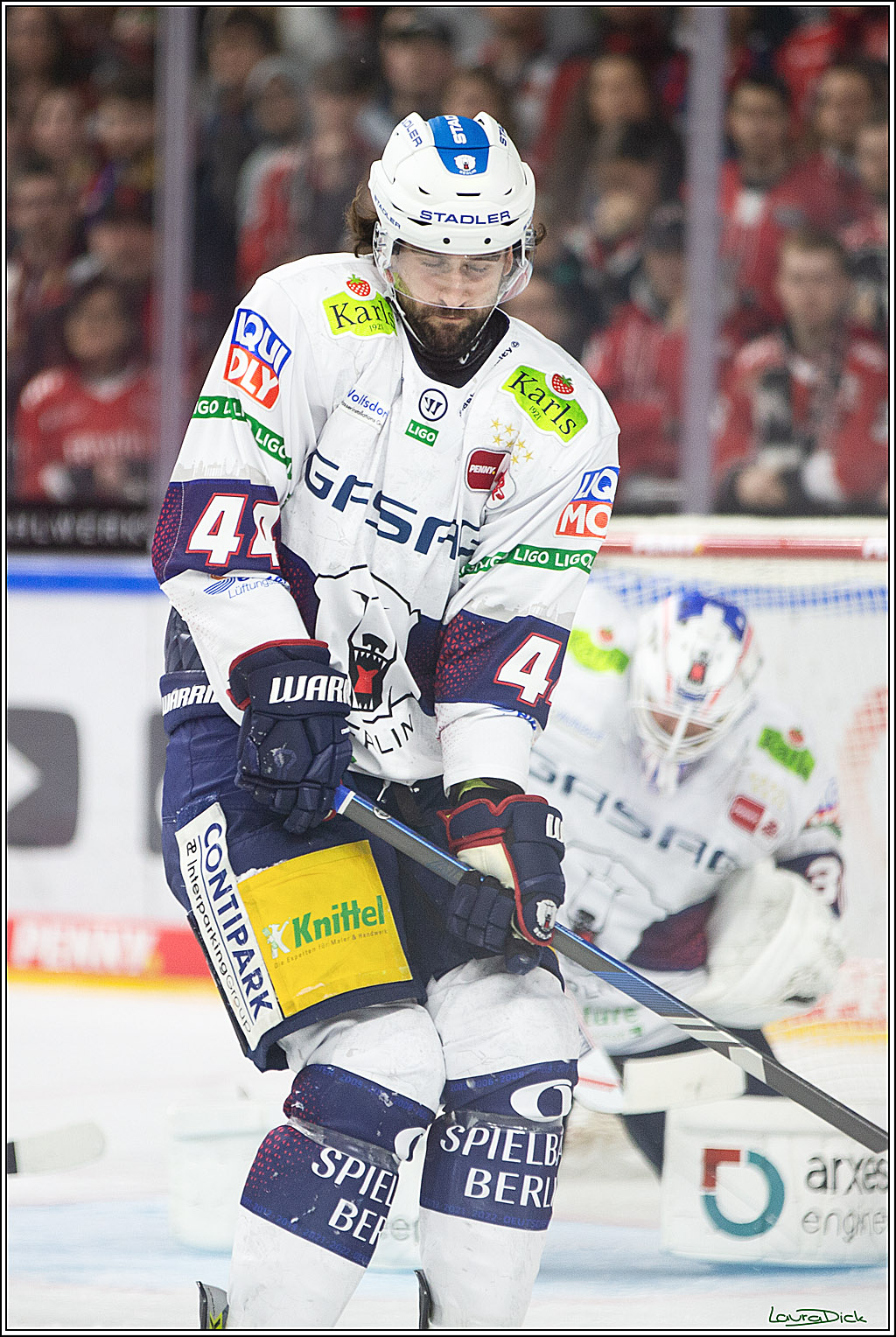 PENNY DEL; Koelner Haie-Eisbaeren Berlin; Koeln, 21.02.2024