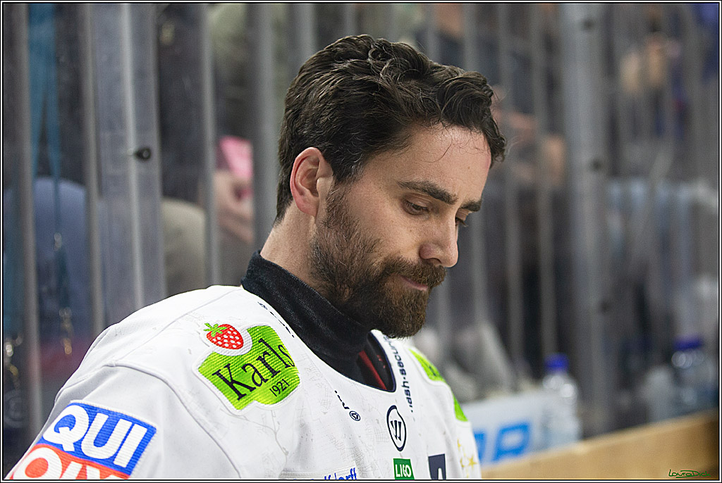 PENNY DEL; Koelner Haie-Eisbaeren Berlin; Koeln, 21.02.2024