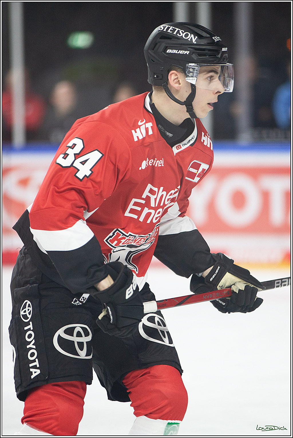PENNY DEL; Koelner Haie-Eisbaeren Berlin; Koeln, 21.02.2024