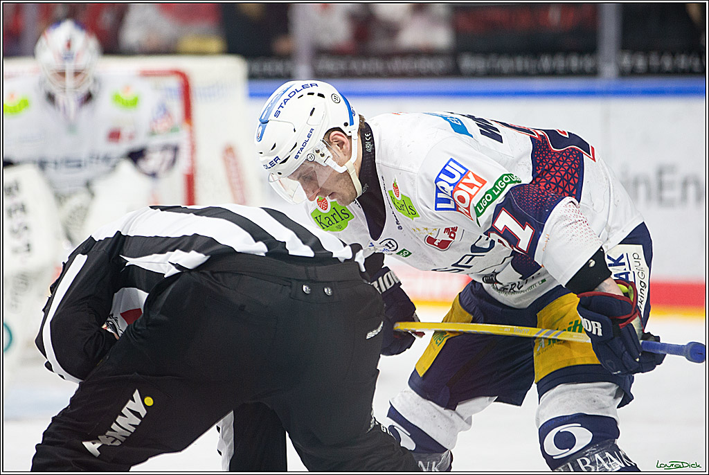 PENNY DEL; Koelner Haie-Eisbaeren Berlin; Koeln, 21.02.2024