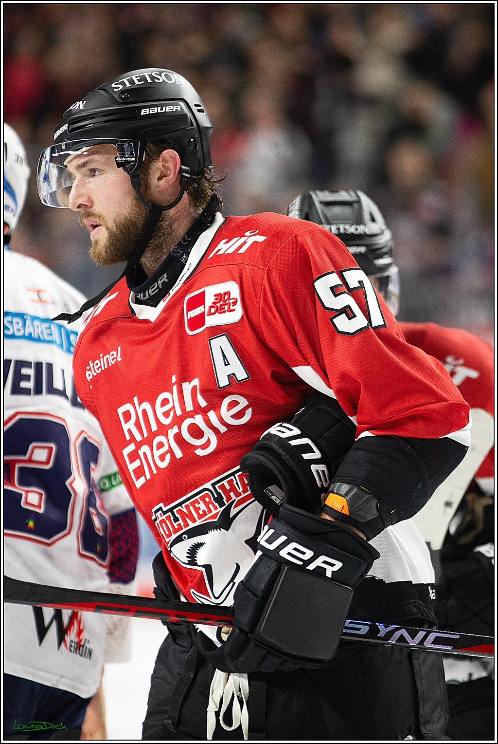 PENNY DEL; Koelner Haie-Eisbaeren Berlin; Koeln, 21.02.2024