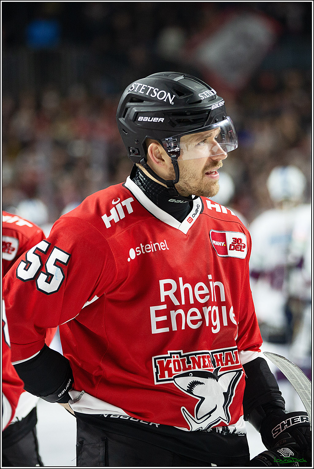 PENNY DEL; Koelner Haie-Eisbaeren Berlin; Koeln, 21.02.2024