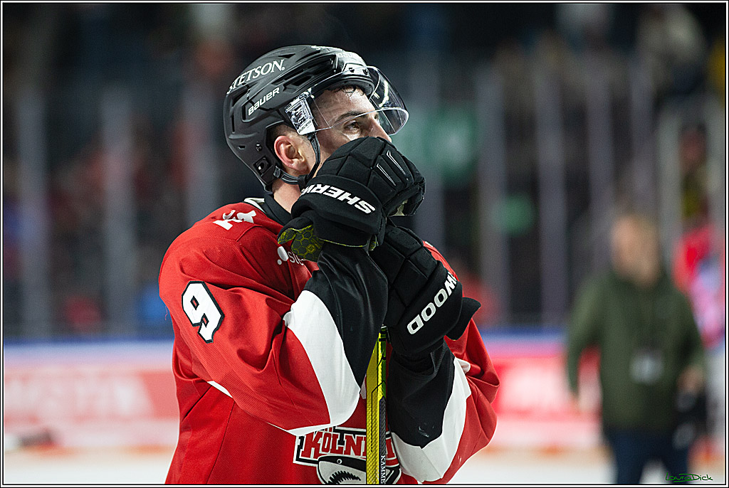 PENNY DEL; Koelner Haie-Eisbaeren Berlin; Koeln, 21.02.2024