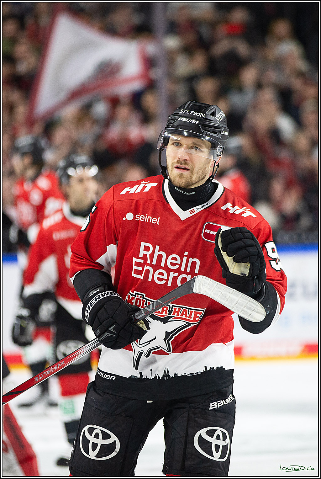 PENNY DEL; Koelner Haie-Eisbaeren Berlin; Koeln, 21.02.2024