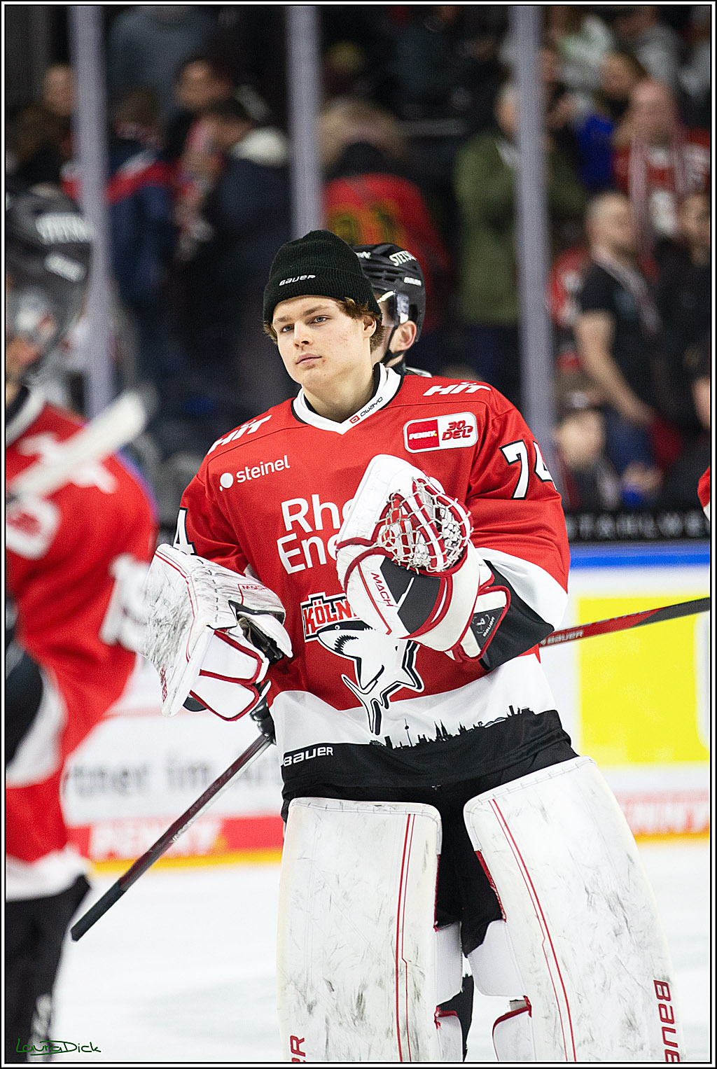 PENNY DEL; Koelner Haie-Eisbaeren Berlin; Koeln, 21.02.2024