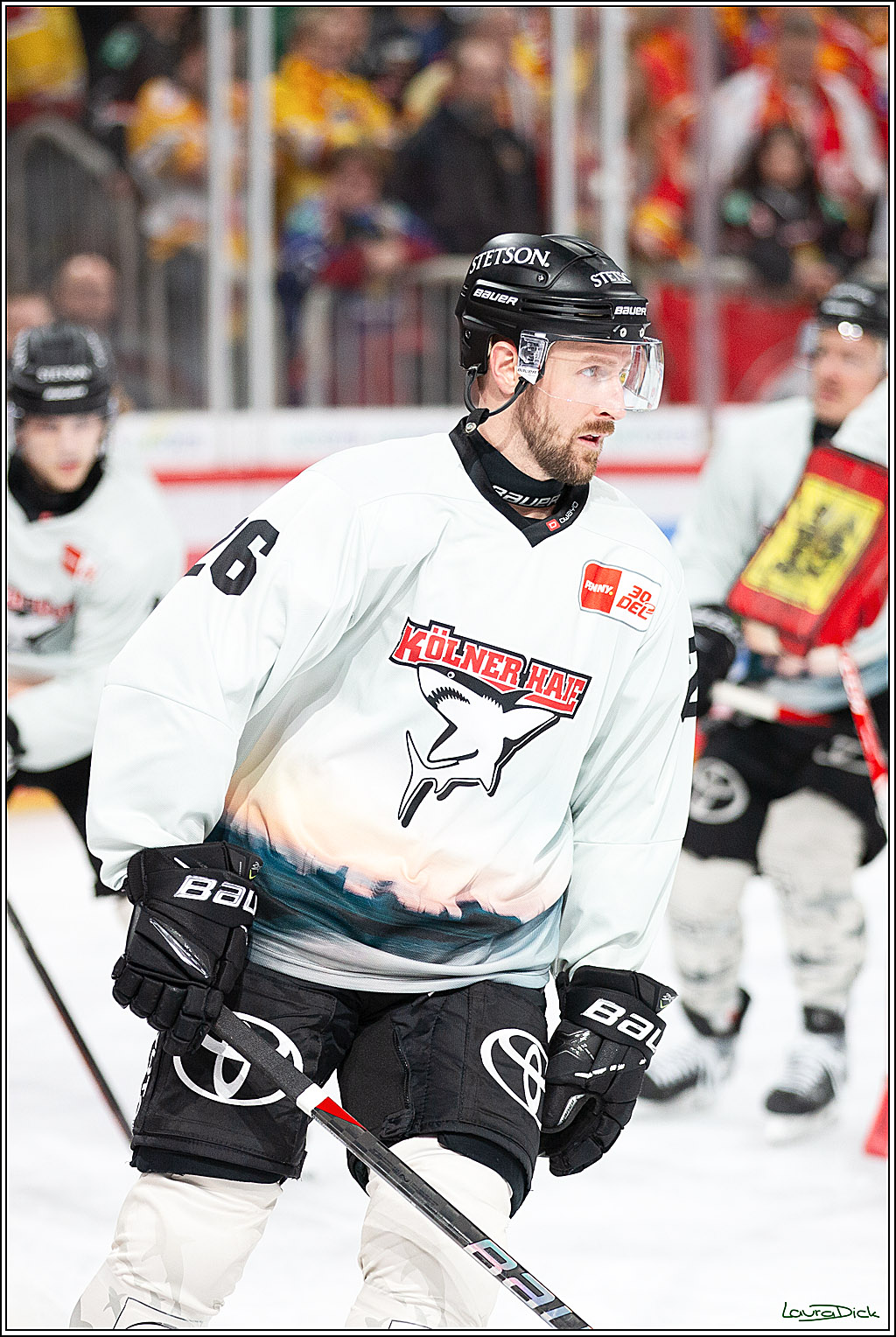 PENNY DEL; Duesseldorfer EG- Koelner Haie; Duesseldorf, 25.02.2024