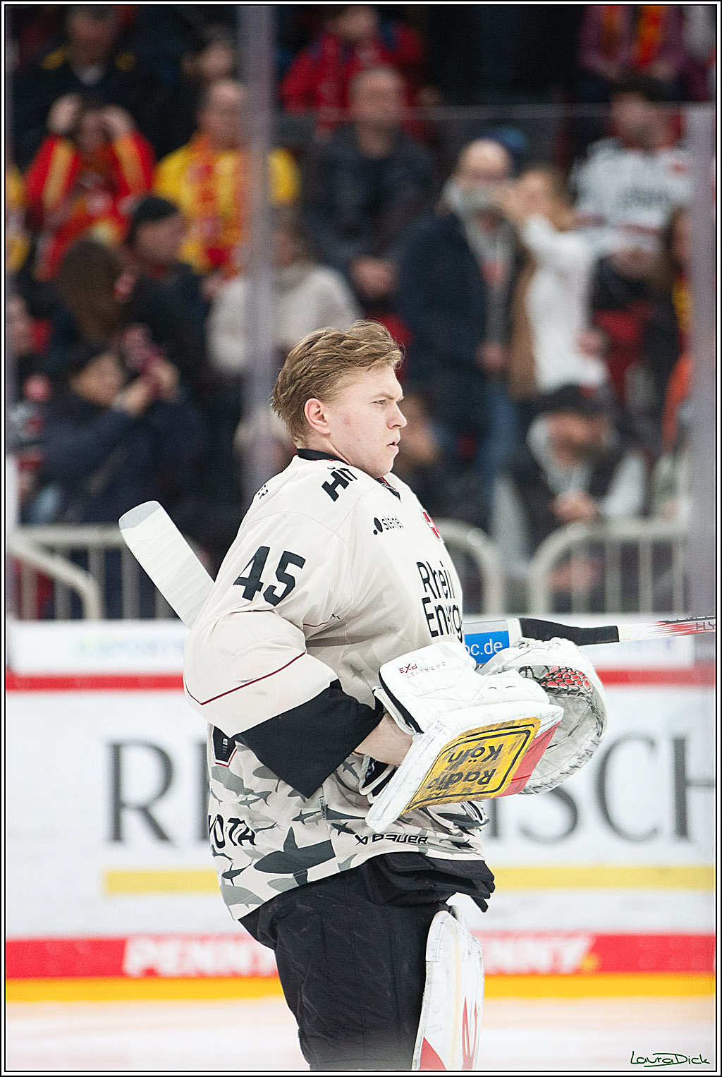 PENNY DEL; Duesseldorfer EG- Koelner Haie; Duesseldorf, 25.02.2024