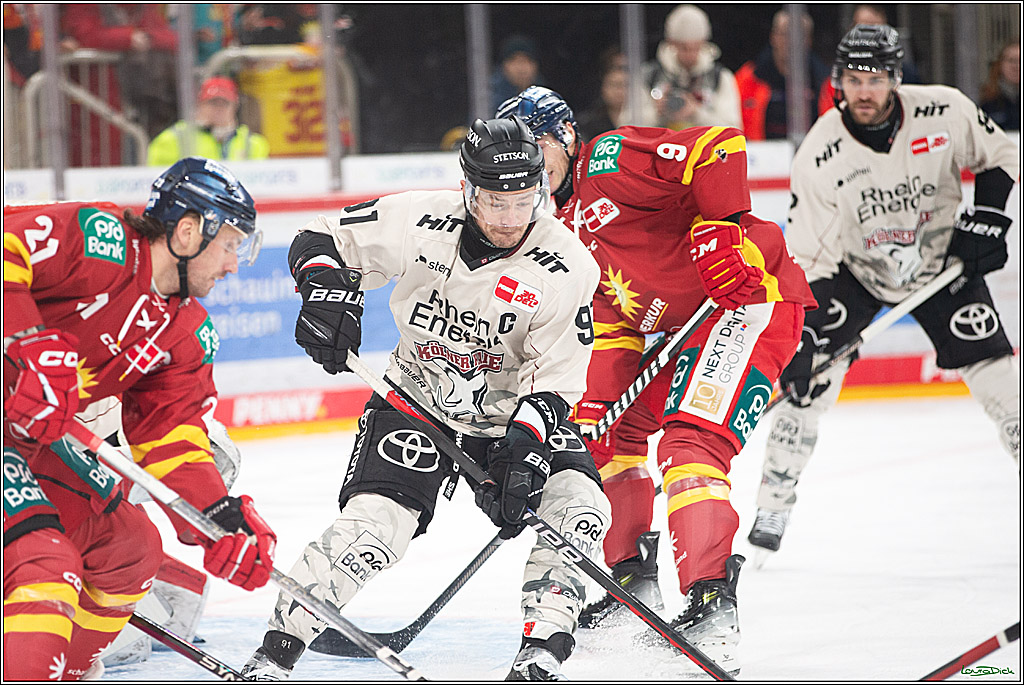 PENNY DEL; Duesseldorfer EG- Koelner Haie; Duesseldorf, 25.02.2024