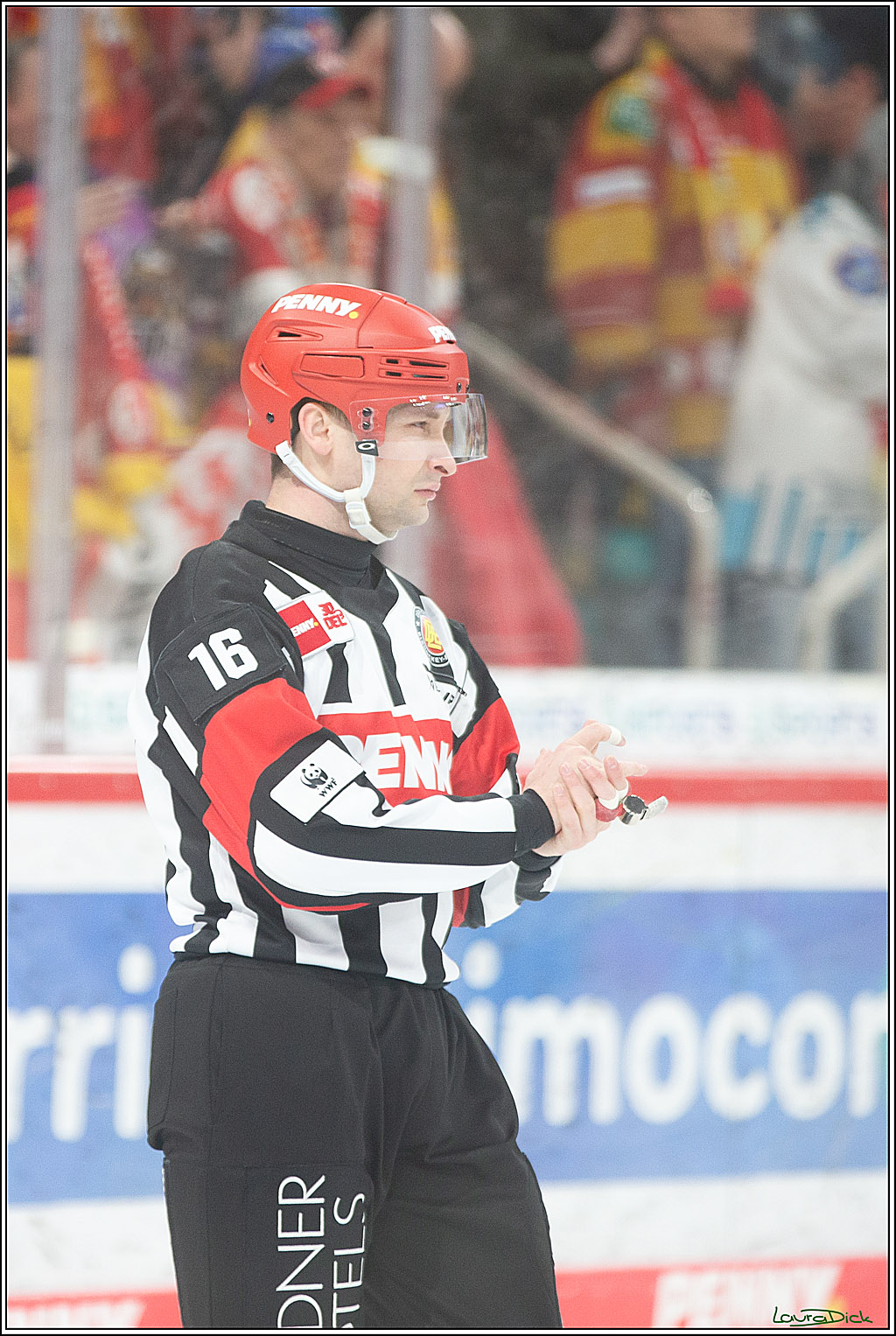 PENNY DEL; Duesseldorfer EG- Koelner Haie; Duesseldorf, 25.02.2024