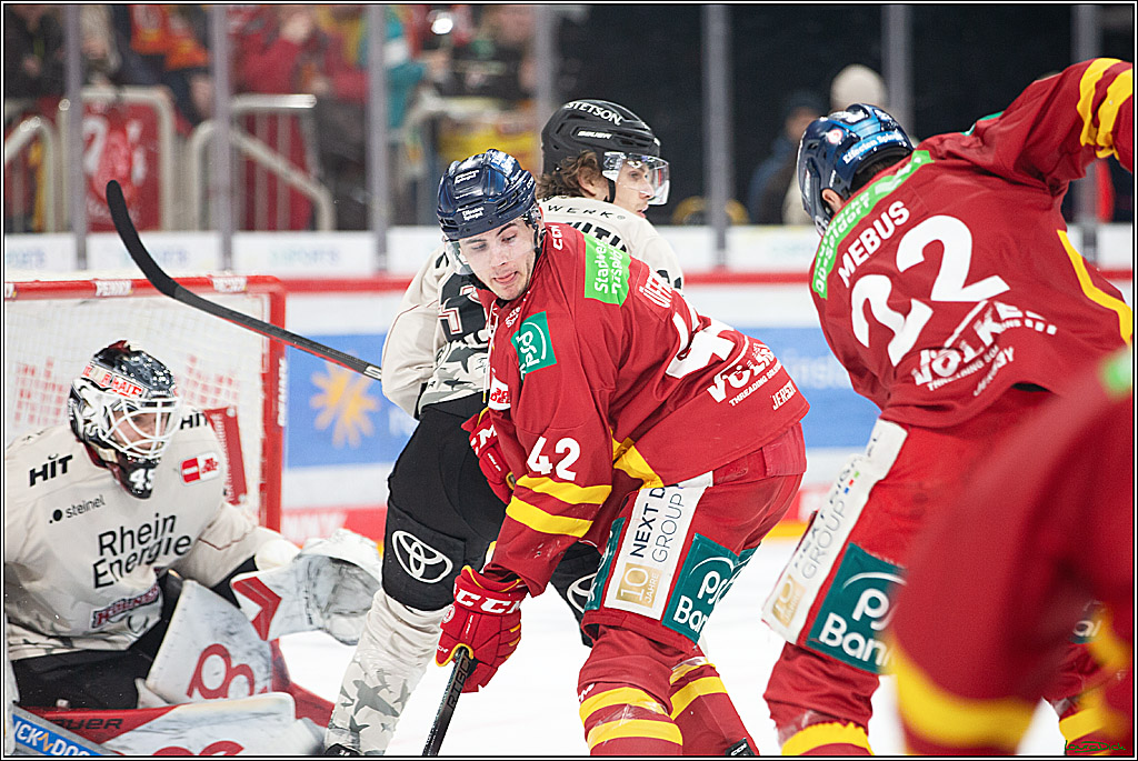 PENNY DEL; Duesseldorfer EG- Koelner Haie; Duesseldorf, 25.02.2024